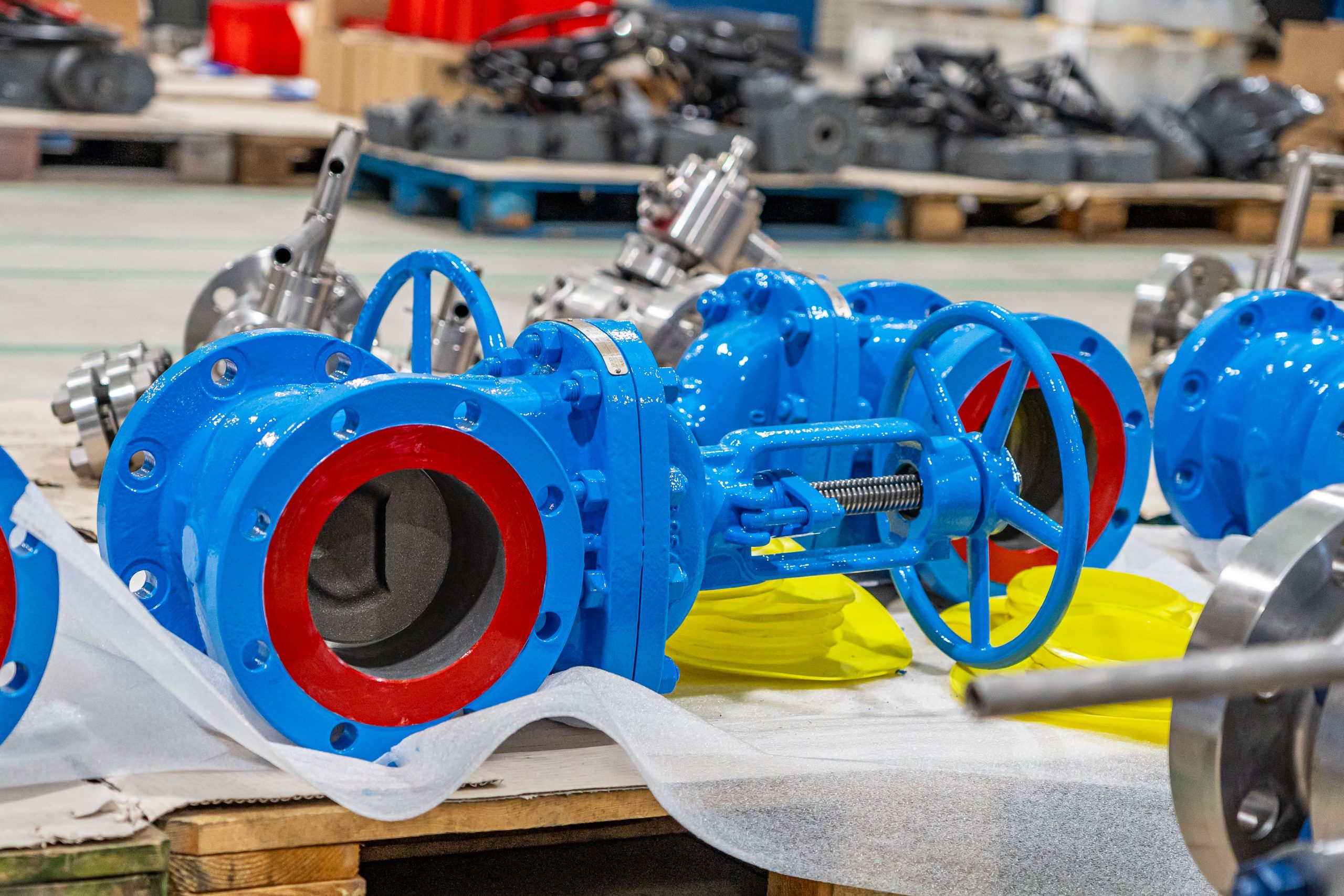 Colorful gate valve